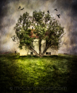 Poly Photo Monthly Competition @ Photographic Arts Building | San Diego | California | United States