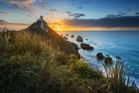 Nugget Point Lighthouse At Sunrise by Drema Swader 