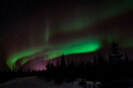 Aurora Near Churchill, Canada by Lin Craft